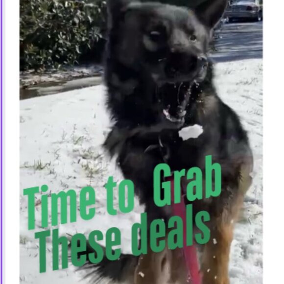 Heyyyyy!!!!! come hop in our live to have a crack of a time❤️❤️🐾🐾❤️❤️🐾🐾 - Picture 3 of 5